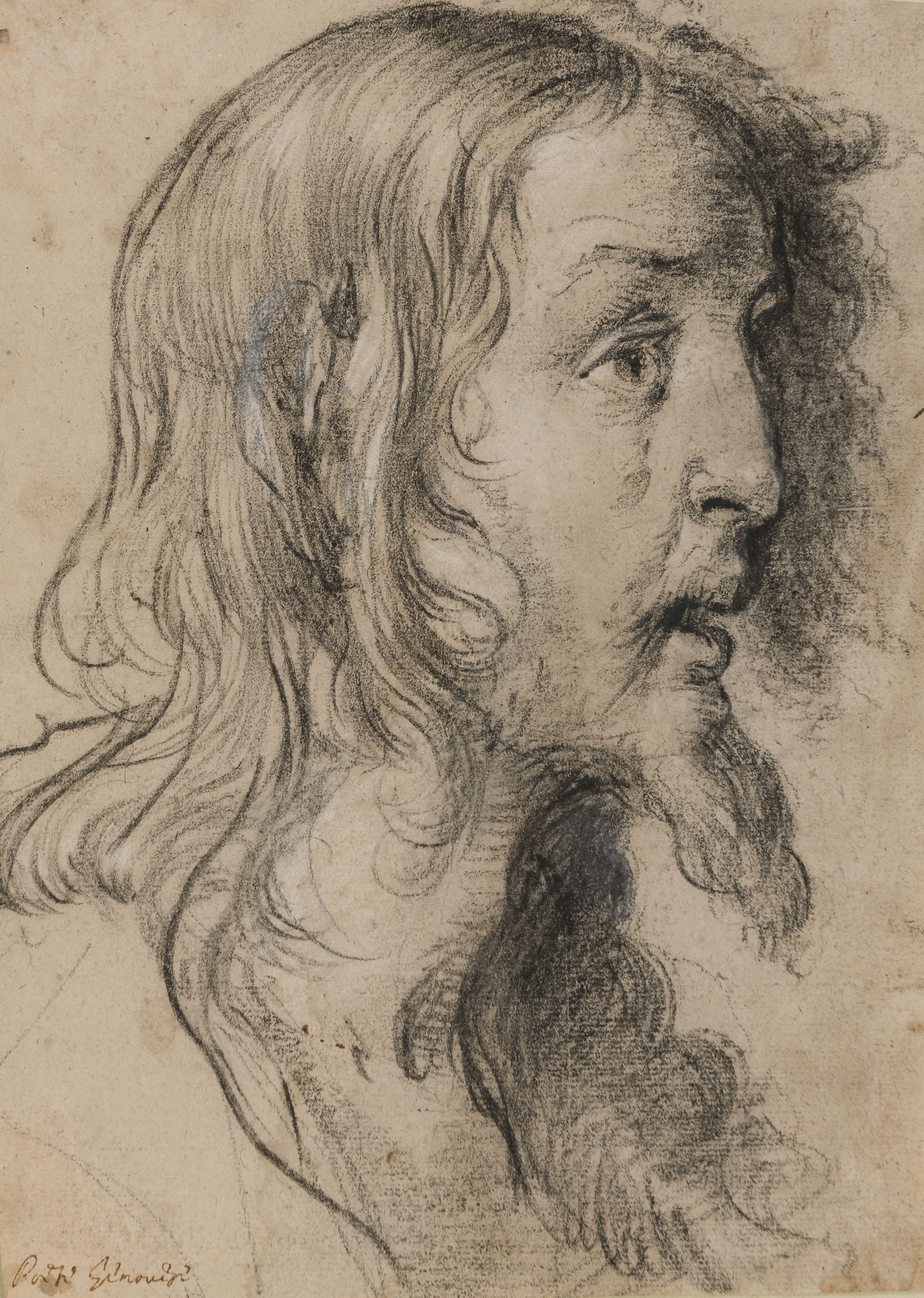 The Head of Christ